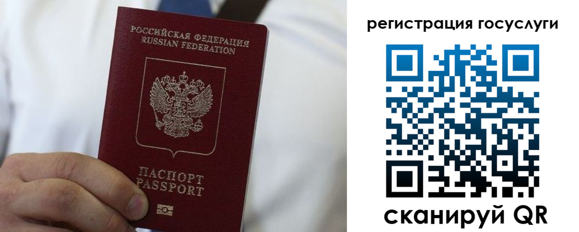 прописка в Дубовке